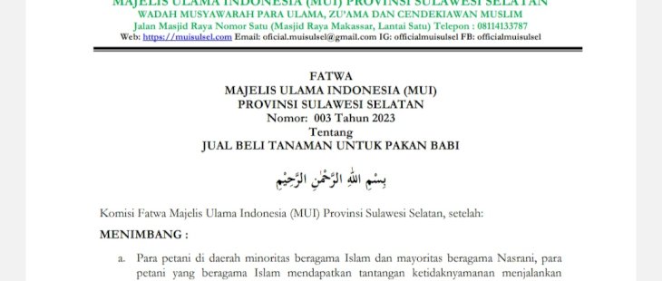 Fatwa MUI Sulsel, Halal Jual Daun Ubi Untuk Pakan Babi