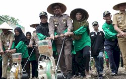 Mentan di Gunung Kidul, Tanam Kedelai untuk Penuhi Produksi Dalam Negeri