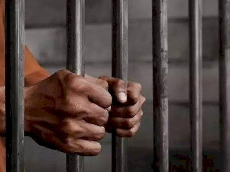 Polres Bone Amankan Pelaku Pencurian Sapi
