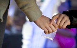 Kemendikbud Respon DPR Soal Permintaan Pembentukan Satgas Narkoba di Kampus 