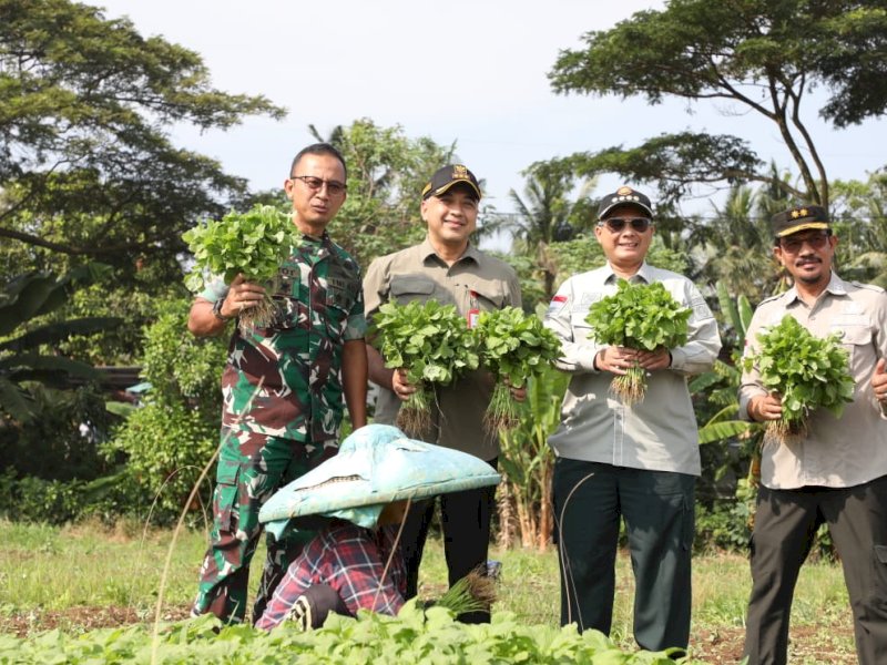 Di Tangerang, Wamentan Harvick Dorong Pengembangan Pusat Kawasan Agropolitan
