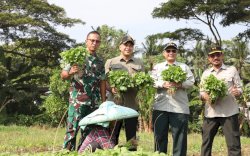 Di Tangerang, Wamentan Harvick Dorong Pengembangan Pusat Kawasan Agropolitan
