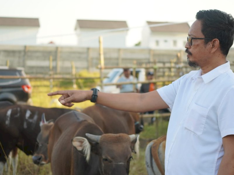 Sapi di RPH Makassar Terjamin Kesehatannya untuk di Kurban