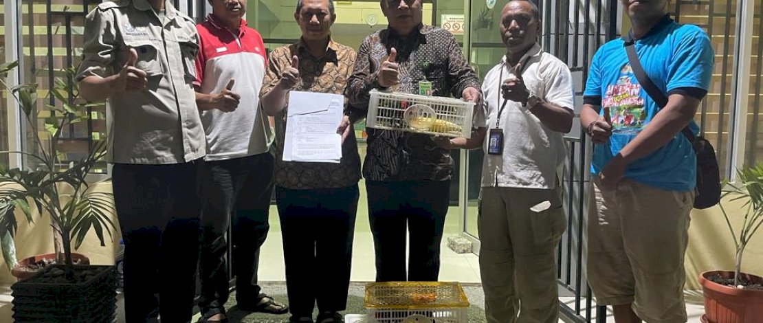 Karantina Pertanian Makassar menyerahkan 10 ekor burung nuri kepala hitam kepada pihak Balai Konservasi Sumber Daya Alam (BKSDA) Sulsel.