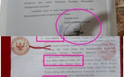 Nepotisme dan Dugaan Pemalsuan Tanda Tangan KSM di Jeneponto Seret Kabid Cipta Karya