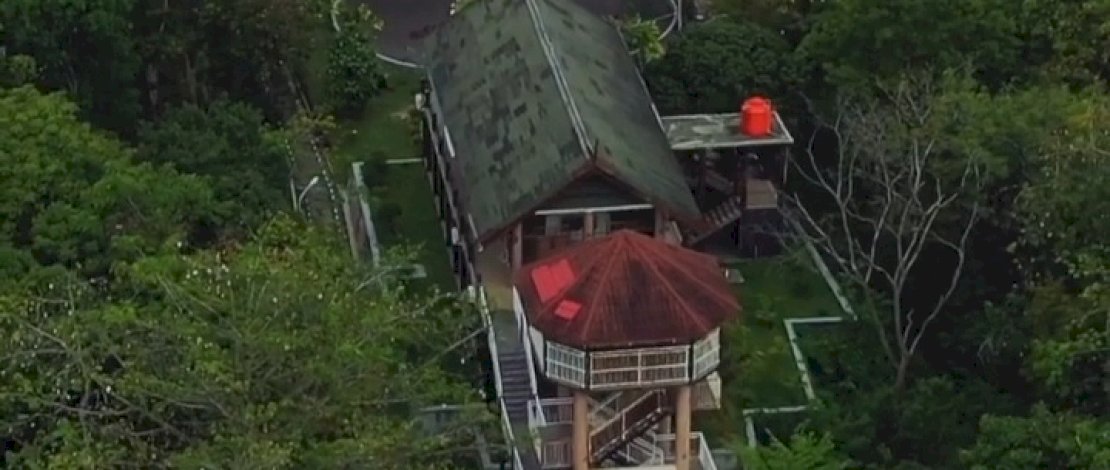 Taufan Pawe Sebut Kebun Raya Jompie Hutan Alami di Tengah Kota dengan Beragam Tumbuhan