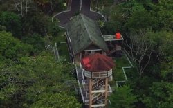 Taufan Pawe Sebut Kebun Raya Jompie Hutan Alami di Tengah Kota dengan Beragam Tumbuhan