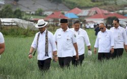 Kunjungi Solok, Mentan SYL Dorong Pengembangan Integrated Farming Kawasan Hortikultura