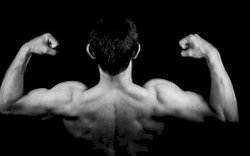 Miliki Enam Sifat Ini Kalau Ingin Disebut Jantan Menurut Al-Quran