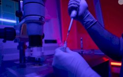 Ilmuwan Klaim Mampu Ciptakan Embrio Manusia Sintetik Hanya Gunakan Sel Panca