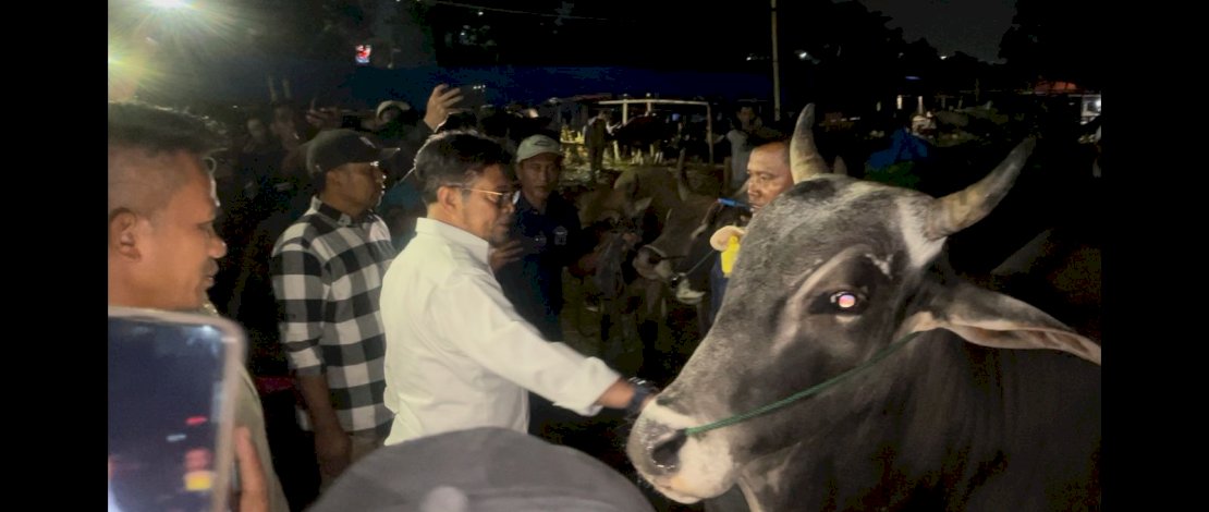 Mentan SYL mengecek langsung ketersediaan hewan kurban di kandang kelompok ternak milik PT. Bima Jaya Farm, yang berlokasi di Jalan Sholeh Iskandar, Simpang Yasmin, Kota Bogor, Senin, 19 Juni 2023.