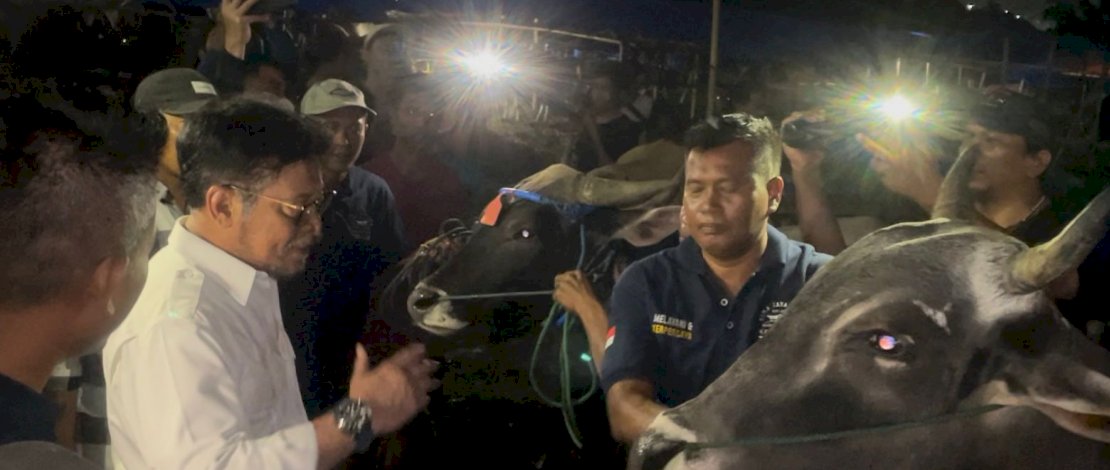 Menteri Pertanian Syahrul Yasin Limpo di sapi penjualan Bima Jaya Farm, Yasmin, Bogor, Senin, 19 Juni 2023.
