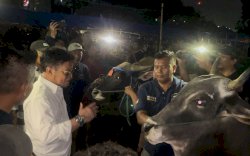 Percepat Izin Jual, Peternak Sapi Bima Sampaikan Terimakasih ke Kementan