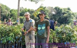 Kementan Bangun Kampung Hortikultura di Luwu Utara