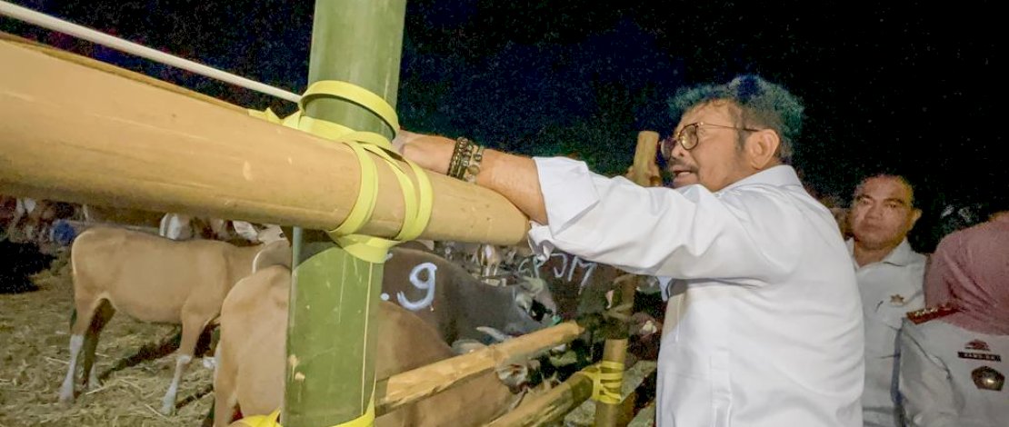 Mentan SYL meninjau ketersediaan hewan kurban di Sulsel.