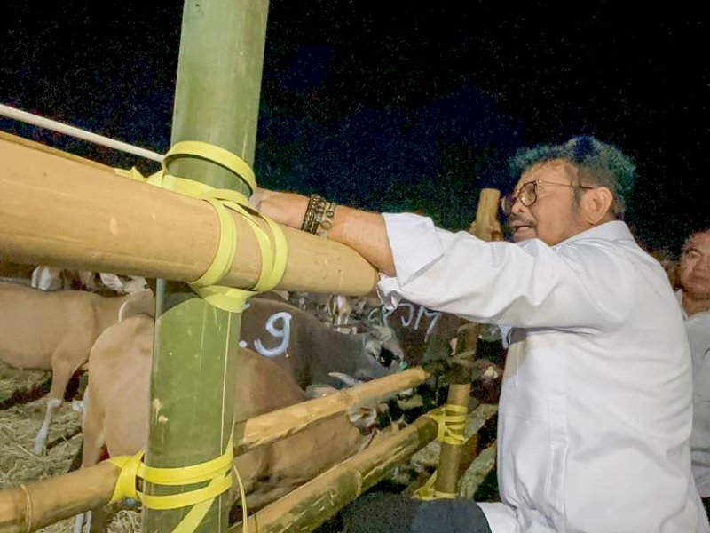 Surplus Hewan Kurban di Sulsel, Mentan SYL Siapkan 3,2 Juta Ekor Sapi Seluruh Indonesia