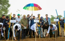 Antisipasi Krisis Pangan, Mentan SYL Dorong Pengembangan Budidaya Sorgum di Pangkep