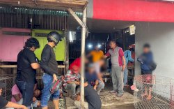 Gerebek Sabung Ayam, Polisi Amankan Belasan Orang di Bulukumba