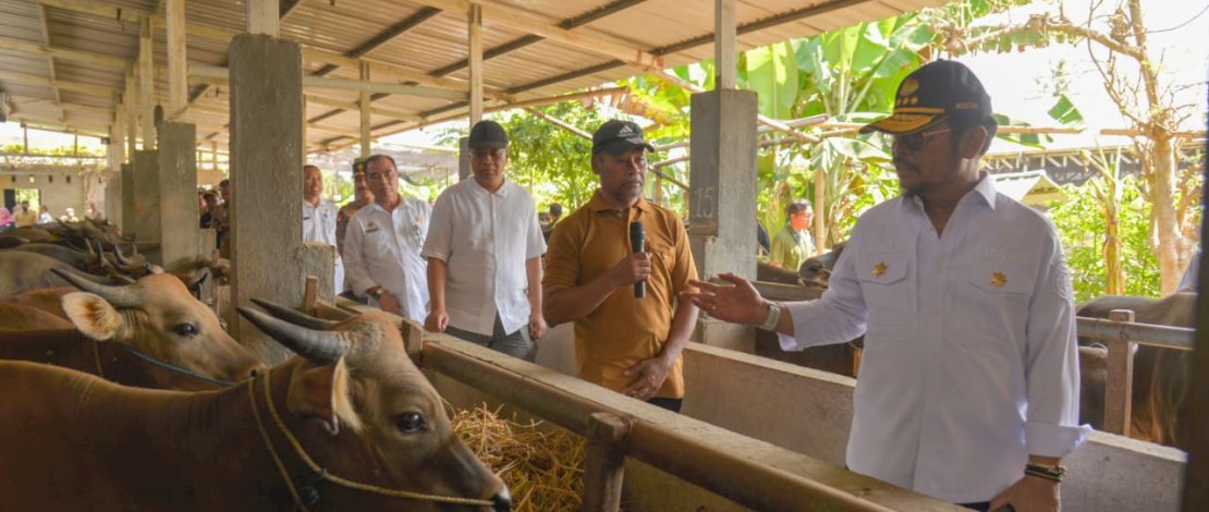 Mentan SYL saat mengecek Kandang Hewan Qurban yang berlokasi di belakang Kantor Bupati Lombok Barat, Senin, 26 Juni 2023.