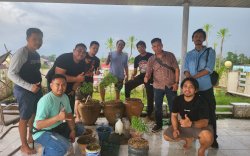 Polisi Temukan Budidaya Ganja dalam Rumah Mewah, Pemilik dan Perawatnya Ditangkap