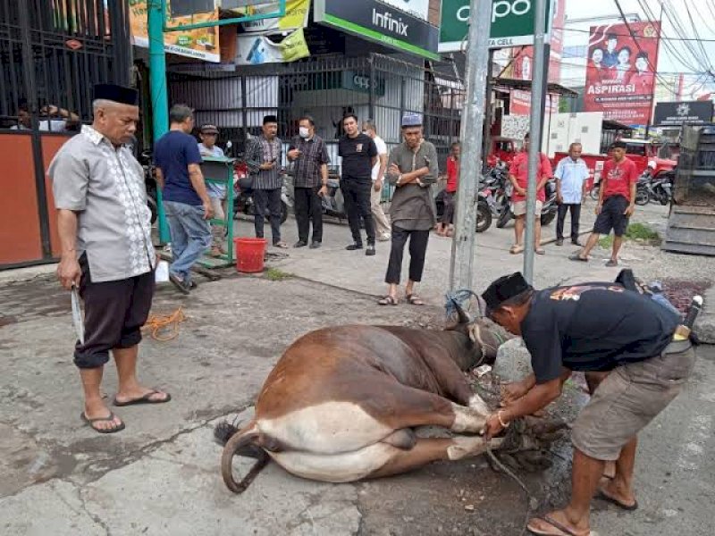 PDIP Sulsel Bakal Berkurban 105 Sapi dan 8 Kambing, ARW Sumbang 45 Ekor