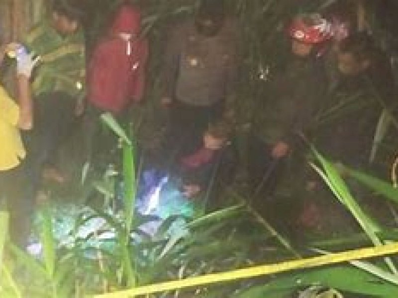 Mahasiswi Pura-pura Temukan Bayi di Pohon Pisang, Ternyata Anaknya Sendiri