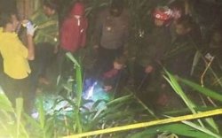 Mahasiswi Pura-pura Temukan Bayi di Pohon Pisang, Ternyata Anaknya Sendiri