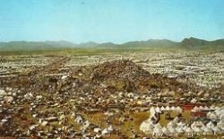 Jemaah Haji RI Telantar di Muzdalifah, Timwas Haji DPR Telepon Dirjen PHU