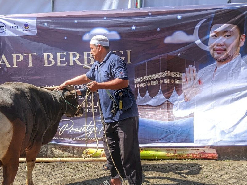PHI dan APT Sembelih 15 Sapi Kurban 