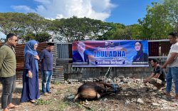 Nasdem Makassar Bagikan Daging Kurban di 15 Kecamatan