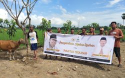 Hamka B Kady Salurkan 17 Ekor Sapi Kurban di Enam Daerah