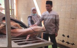 Kementan: Masyarakat Dapat Manfaatkan RPH Untuk Pemotongan Hewan Kurban                                                                     