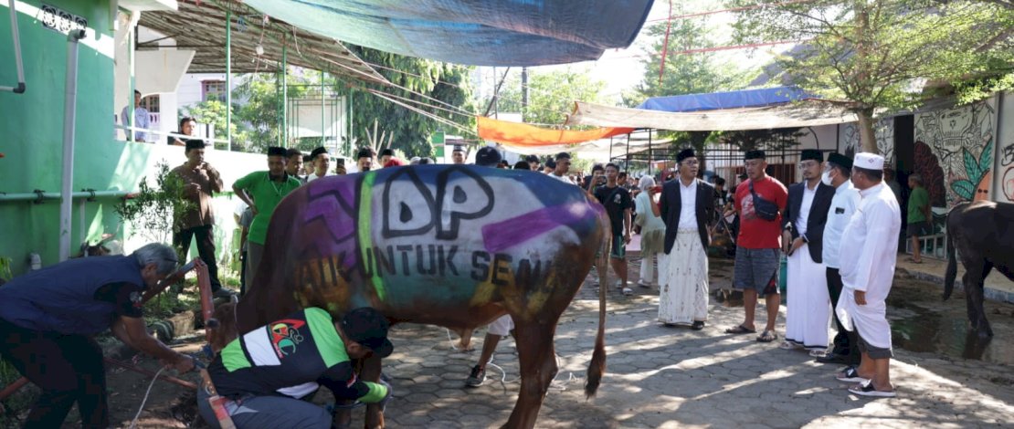  Danny Pomanto Hadiri Pemotongan Hewan Kurban dan Gelar Open House 