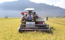 NTP Juni Naik Tinggi, BPS Sebut 4 Komoditas Ini Jadi Pendorongnya