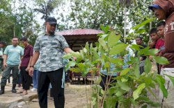 Gubernur Sulsel Lakukan Penanaman 500 Pohon Produktif di Bone
