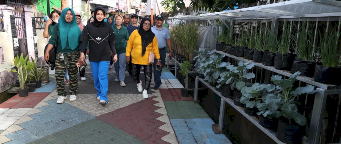 Wakil Wali Kota Makassar, Fatmawati Rusdi, melakukan kunjungan di Jl Abubakar Lambogo, Kecamatan Makassar, Sabtu, 8 Juli 2023.