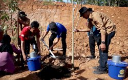 Walikota Danny Pomanto-Bima Arya dan Ratusan Delegasi YCC Apeksi Tanam Pohon Tabebuya