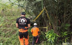 Geger Temuan Organ Tubuh Berceceran di Sleman, Polisi Bakal Lakukan Tes DNA
