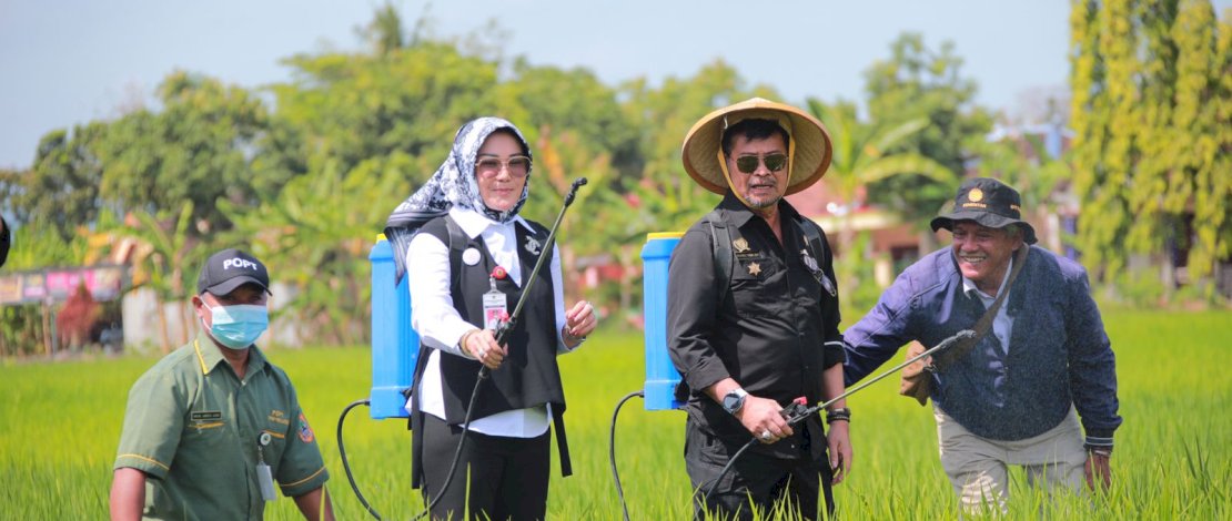 Mentan SYL meninjau jalannya penanganan hama wereng pada lahan sawah di Desa Karangdowo, Kecamatan Karangdowo, Kabupaten Klaten, Jawa Tengah. Mentan SYL meninjau jalannya penanganan hama wereng pada lahan sawah di Desa Karangdowo, Kecamatan Karangdowo, Kabupaten Klaten, Jawa Tengah.