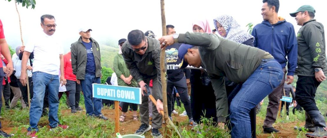 Bersamaan Beuatiful Malino, Bupati Gowa Tanam Pohon di Hutan Pinus