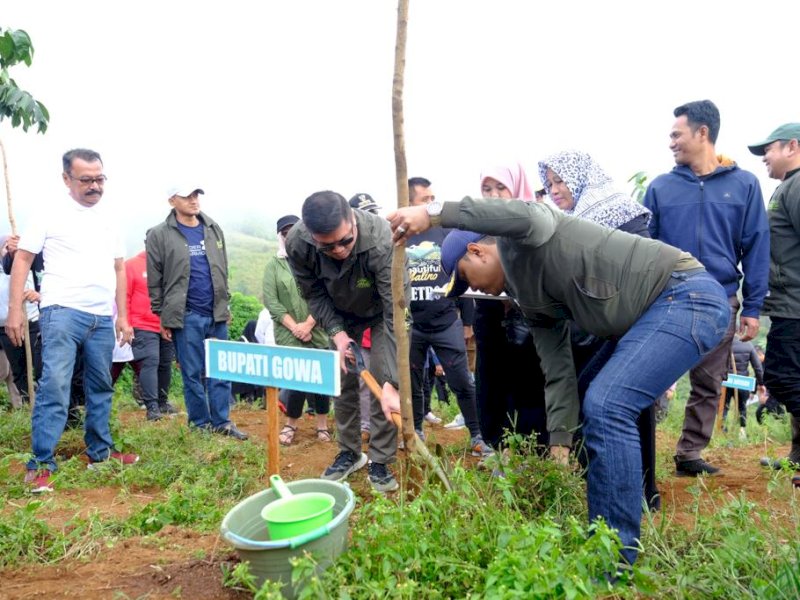 Bersamaan Beuatiful Malino, Bupati Gowa Tanam Pohon di Hutan Pinus