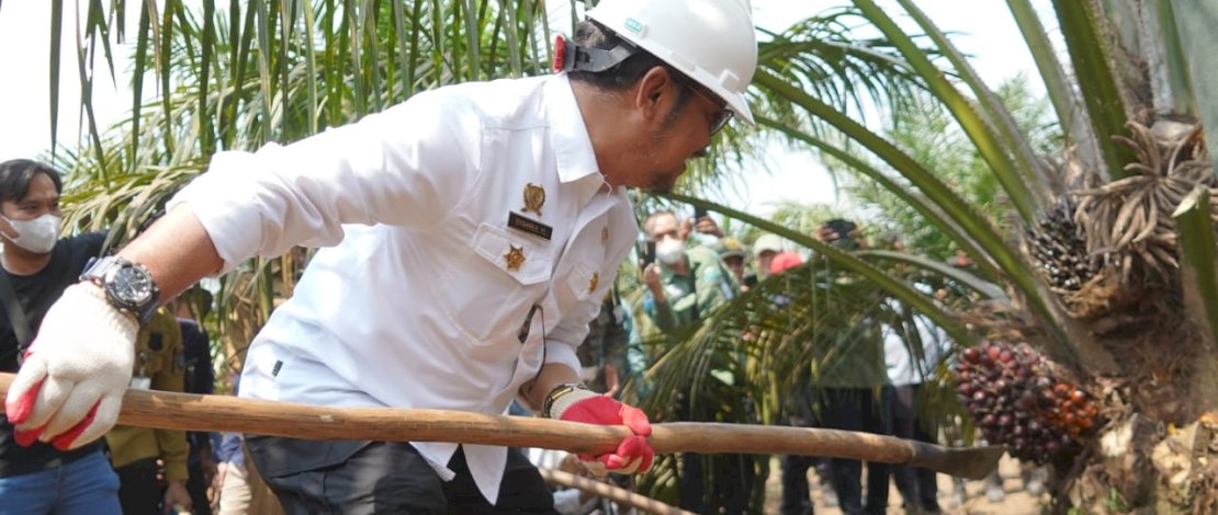 Mentan SYL panen perdana program PSR di Kecamatan Teluk Gelam, Kabupaten OKI, Sumatera Selatan, Senin, 17 Juli 2023. Mentan SYL panen perdana program PSR di Kecamatan Teluk Gelam, Kabupaten OKI, Sumatera Selatan, Senin, 17 Juli 2023.