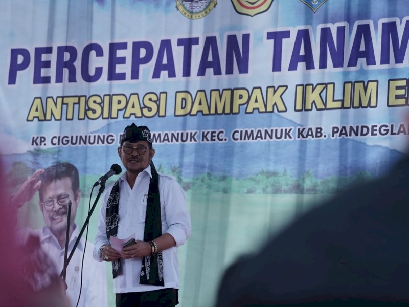 Jelang El Nino, Mentan Tanam Padi dan Pastikan Ketersediaan Beras Aman