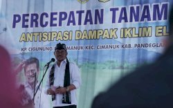 Jelang El Nino, Mentan Tanam Padi dan Pastikan Ketersediaan Beras Aman