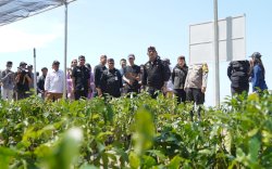 Mentan SYL Launching Nursery Modern Tanaman Perkebunan di Cianjur