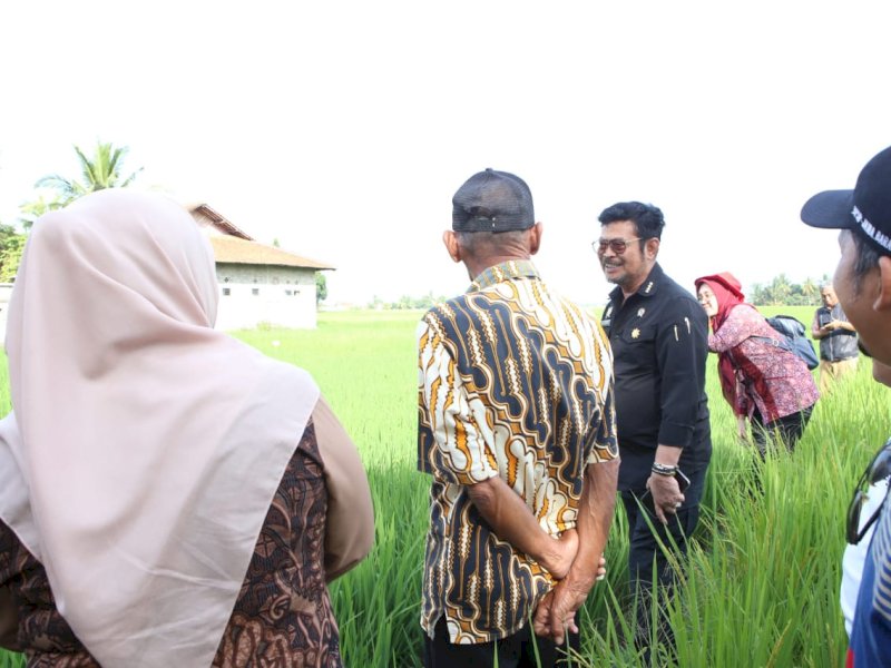 Tinjau Sawah di Cianjur, Mentan SYL Dorong Percepatan Gertam Padi 1.000 Ha