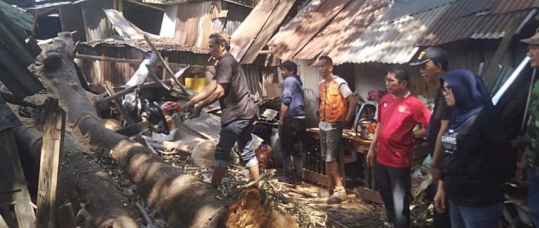 Peduli Sesama, Legislator Muchlis Misbah Tinjau Rumah Warga Tertimpa Pohon di Muh Yamin