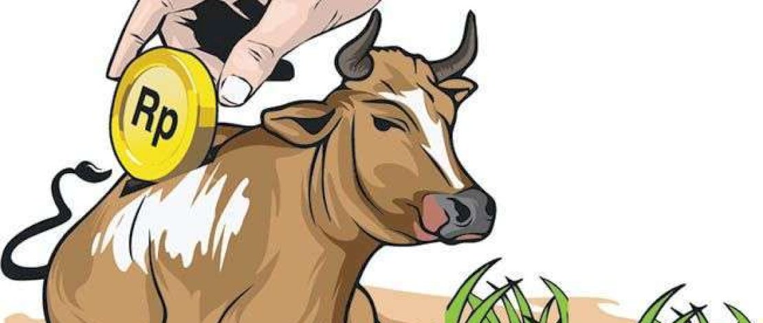 Dugaan Korupsi Sapi BPBD, Penyidik Kejari Jeneponto Tahan Tersangka Dugaan Korupsi Sapi BPBD, Penyidik Kejari Jeneponto Tahan Tersangka