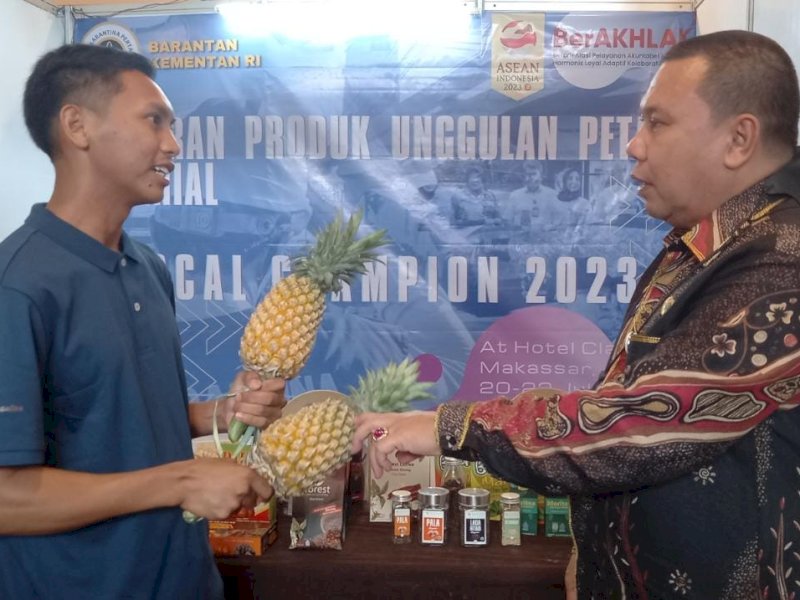 Barantan Siap Dampingi Petani Nanas Asal Sulsel Masuk Pasar Ekspor