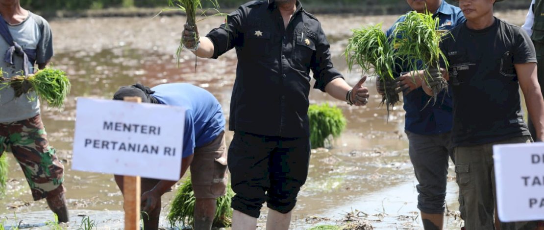 Mentan SYL meninjau jalannya gerakan tanam padi di Desa Maradekaya, Kecamatan Bajeng, Kabupaten Gowa. Mentan SYL meninjau jalannya gerakan tanam padi di Desa Maradekaya, Kecamatan Bajeng, Kabupaten Gowa.